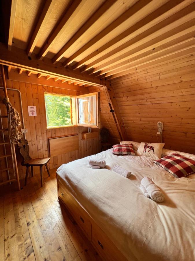 ~Chalet_Rifugio Tra I Boschi~ セッラ・ネヴェア エクステリア 写真