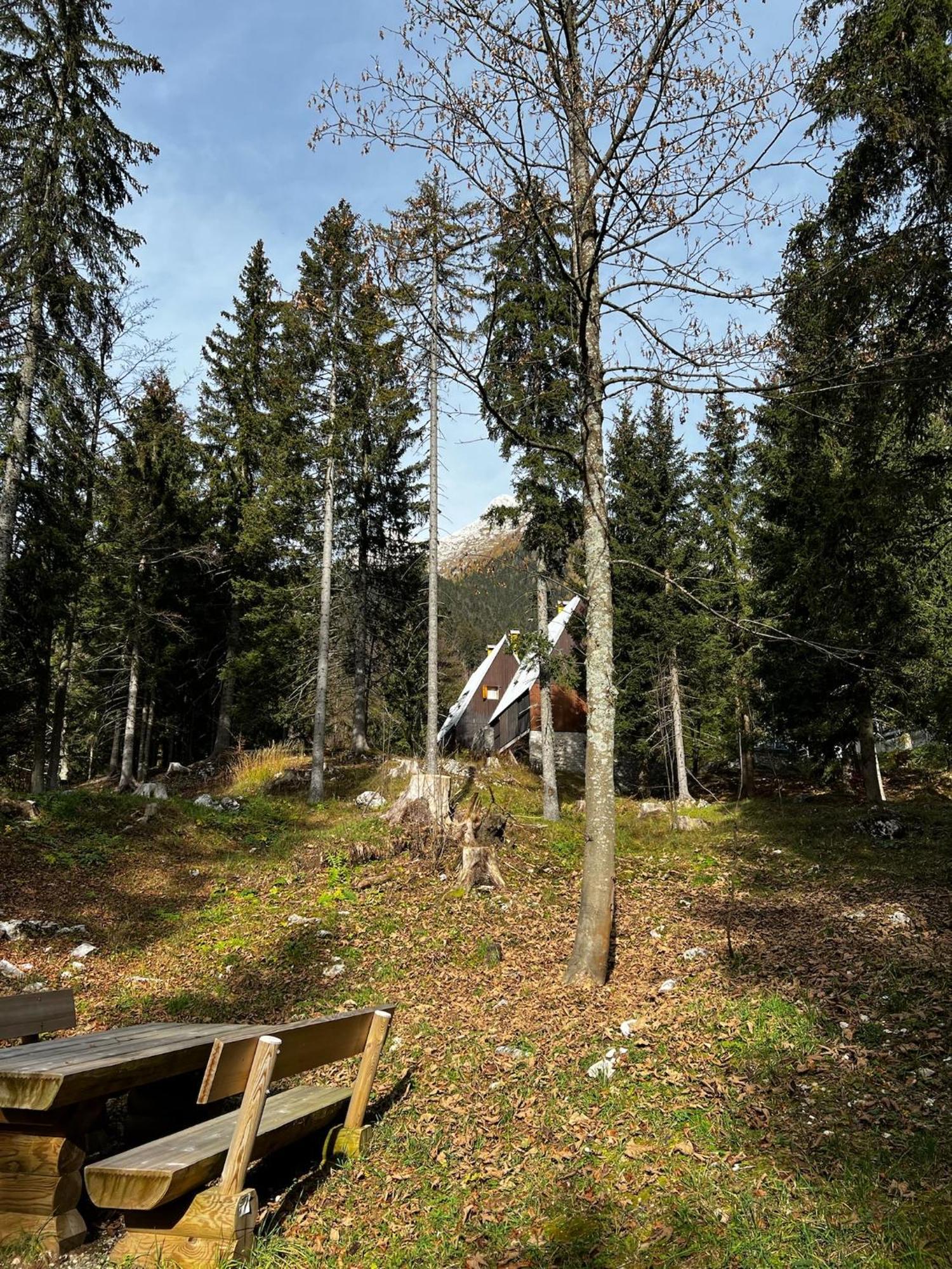 ~Chalet_Rifugio Tra I Boschi~ セッラ・ネヴェア エクステリア 写真