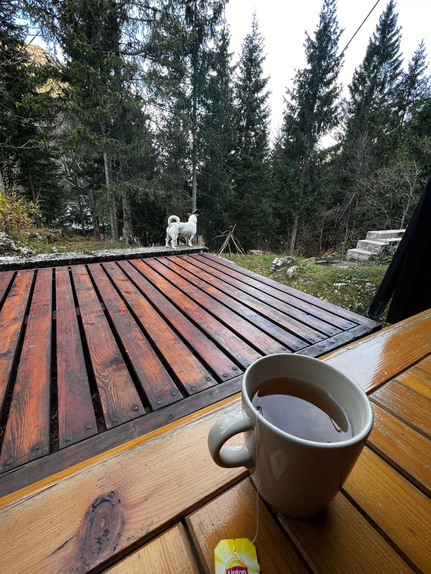 ~Chalet_Rifugio Tra I Boschi~ セッラ・ネヴェア エクステリア 写真